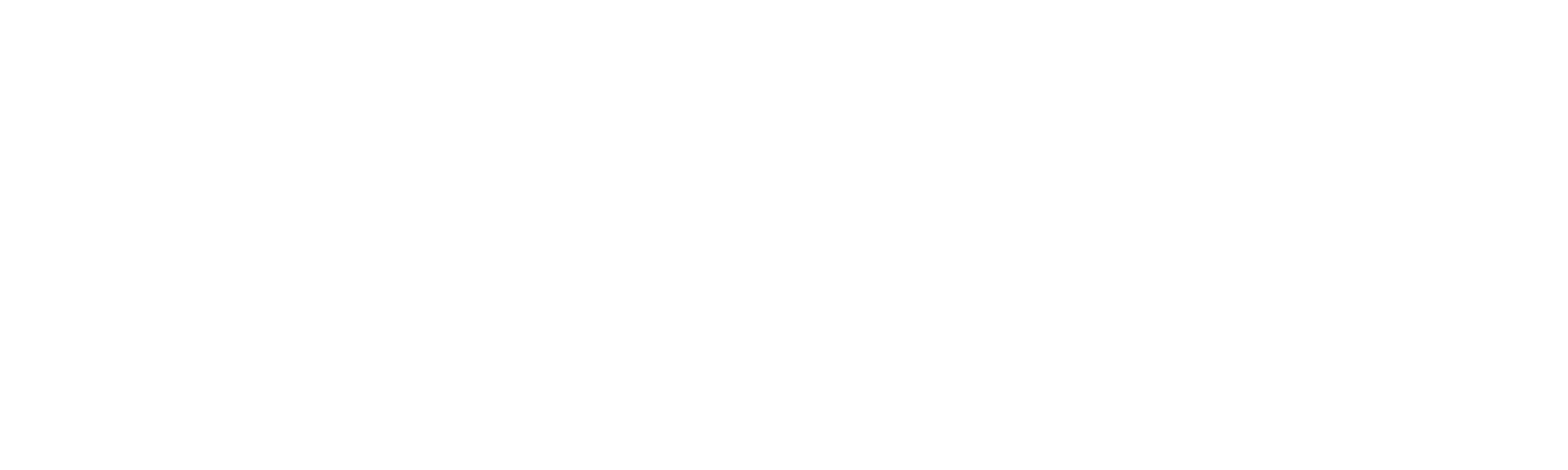 Portal B — HSSE System